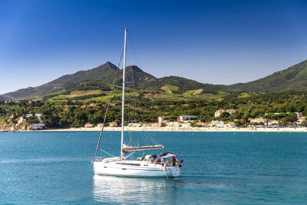 "Les Bambous" Studio Cosy Climatise Au Calme De 37 M2 Parking Gratuit A Argeles Sur Mer 외부 사진