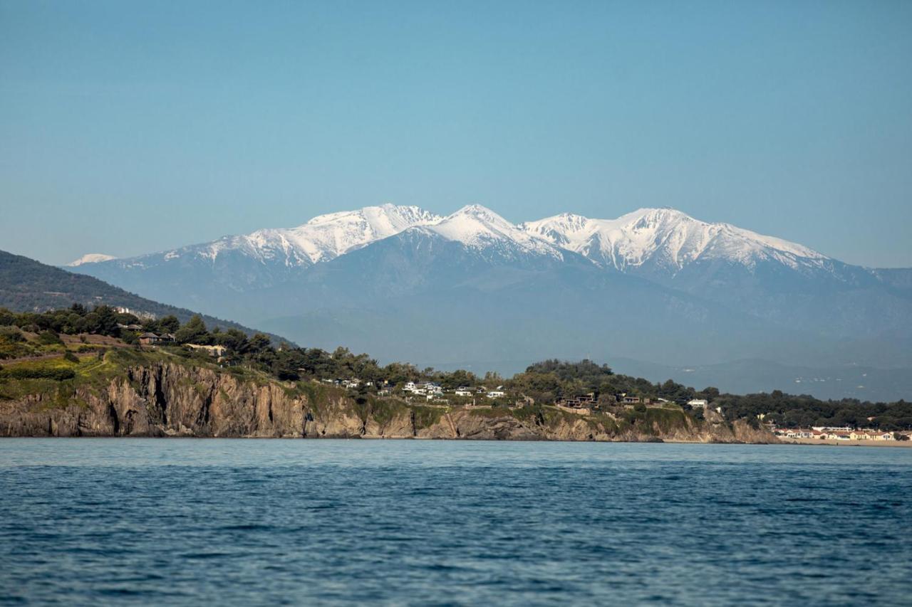 "Les Bambous" Studio Cosy Climatise Au Calme De 37 M2 Parking Gratuit A Argeles Sur Mer 외부 사진